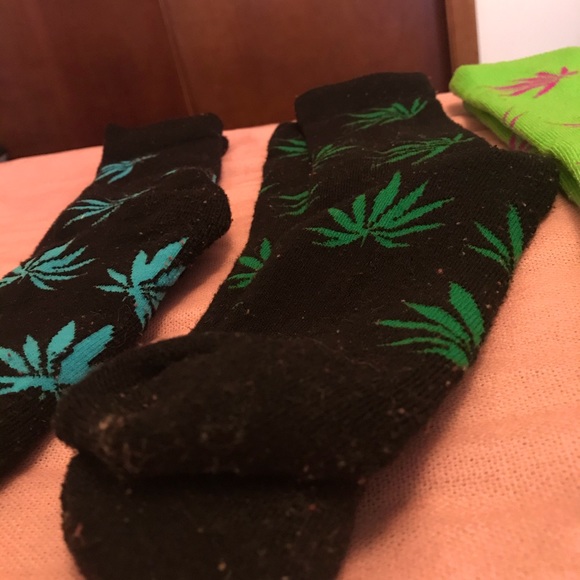 Pot Leaf Socks from Green Dragon dispensary - Picture 4 of 5